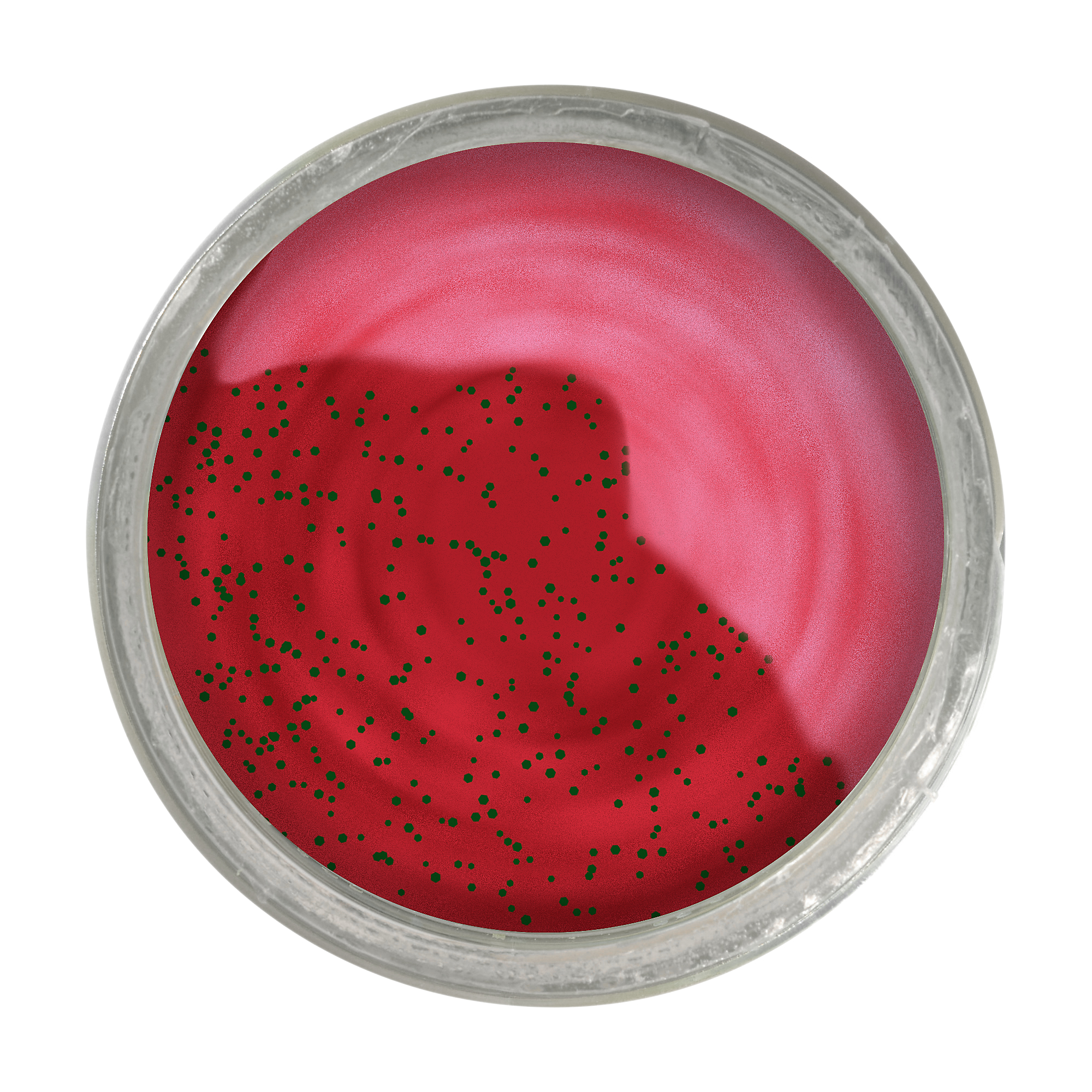 PowerBait Select Trout Bait Fruit Range