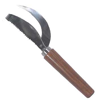 Fischschupper mit Messer