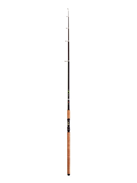 Backbone Tele 160