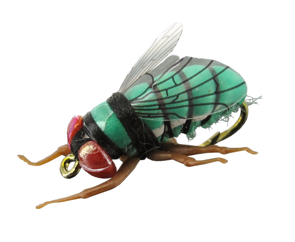 Insektenimitat L - C