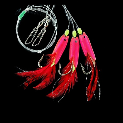 Dorsch-Pilkvorfach Red