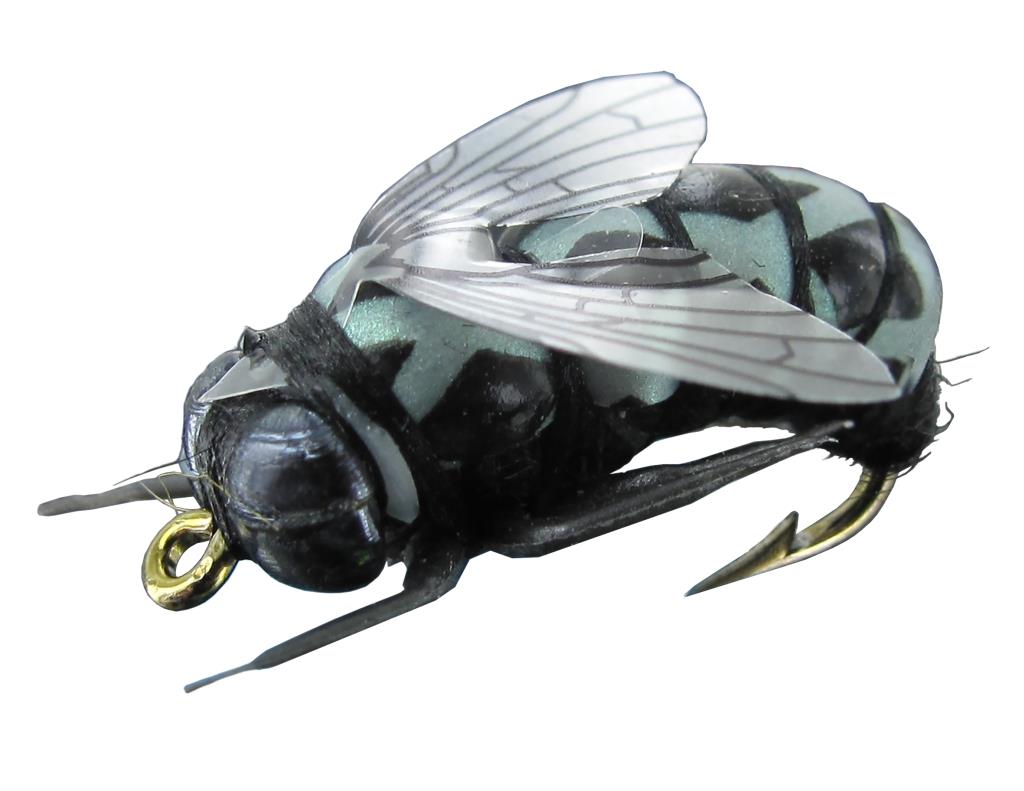 Insektenimitat L - B