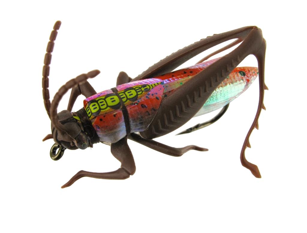 Insektenimitat XL - D