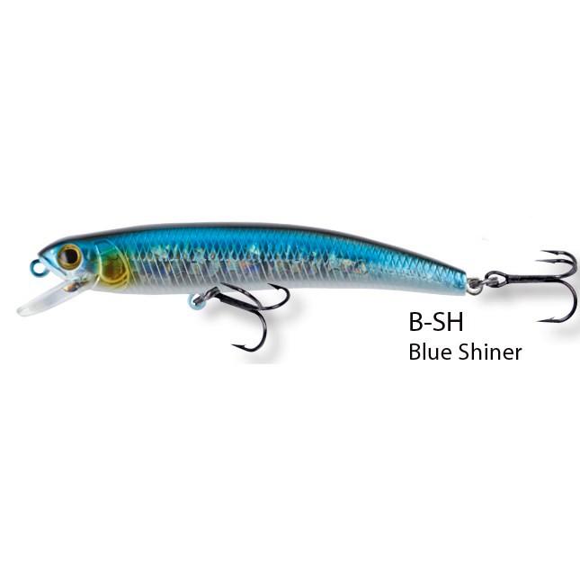 ROBINSON Wobbler Minnow 12 cm, floating