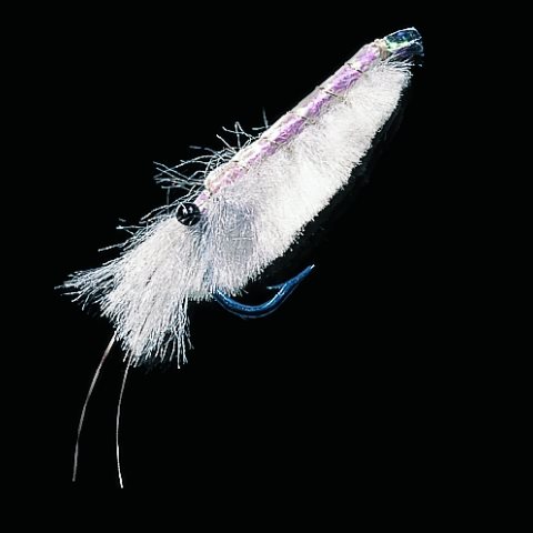 Shrimps Fliegen
