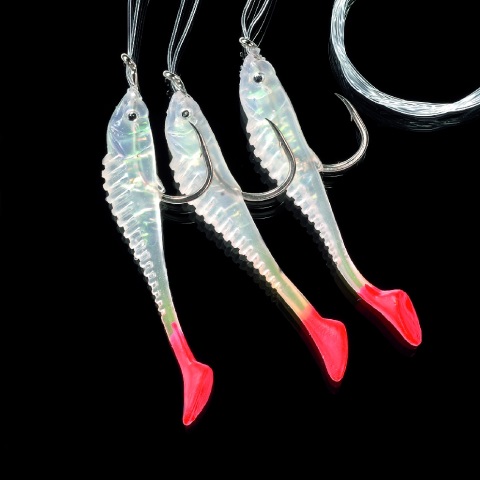 Norwegen Dorsch-Paternoster